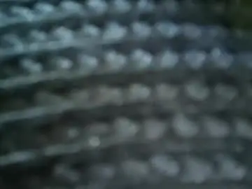 Chaturbate Watch Live Sex Cams of fiveforwilly1