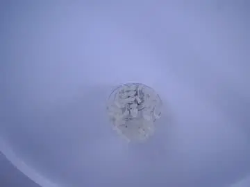 Chaturbate Sex Cam of sinfulfairy