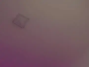 Chaturbate Nude Webcam of chris_twiink