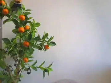 Chaturbate Best live sex cam show of oke_doke