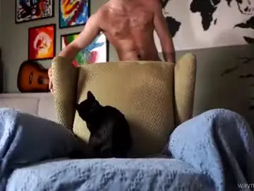 Chaturbate Live Sex of waynenorth