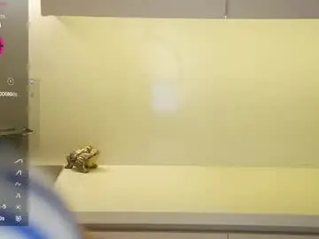 Chaturbate Free Porn Cam of vasillisa