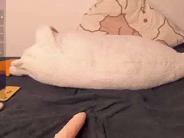 Chaturbate Watch Live Sex Cams of neiljungg