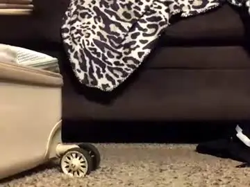 Chaturbate Live Sex of thickmadame28