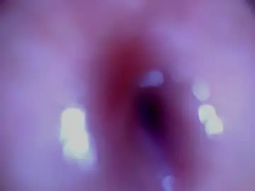 Chaturbate Best Webcam of paulainoscente