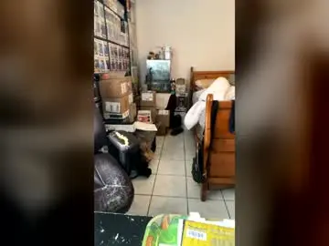 Chaturbate Free Porn Cam of miaking