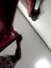 Dscgirls Live Porn of Sabita Mishra