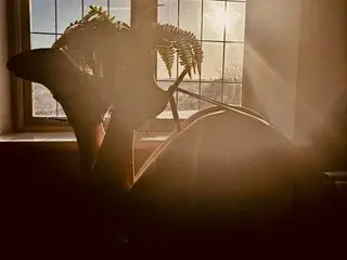 Streamate Live Sex of KatieCarterX