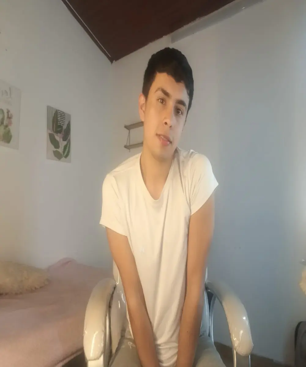 Nyko_ds