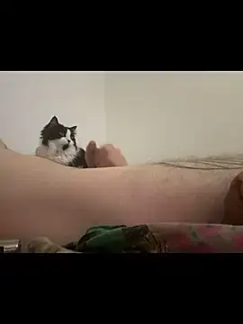 Stripchat Watch Live Sex Cams of Quentin3599