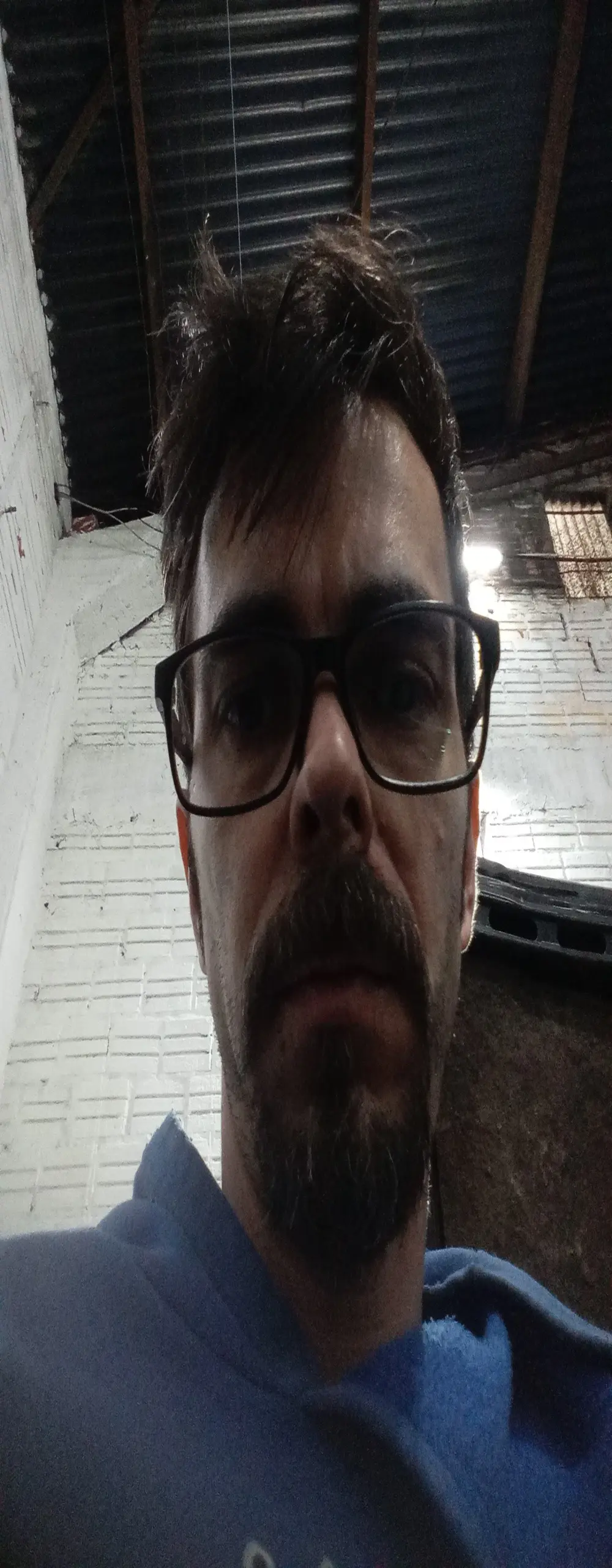 bemmagrinho36