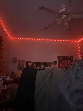 Stripchat Free Porn Cam of nintendhoe