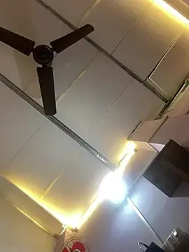 Stripchat Best live sex cam show of MR_Fapprr