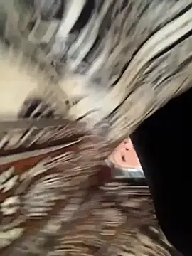 Stripchat Private Sex Chat of angelitasexy81