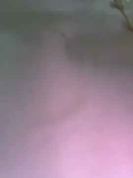 Stripchat Adult Video Chat of ___Erin___