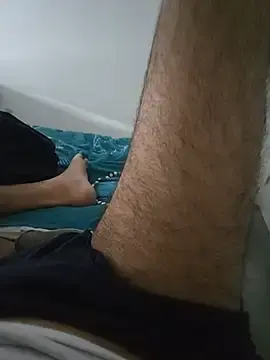 Stripchat Adult Webcam of Hardmard