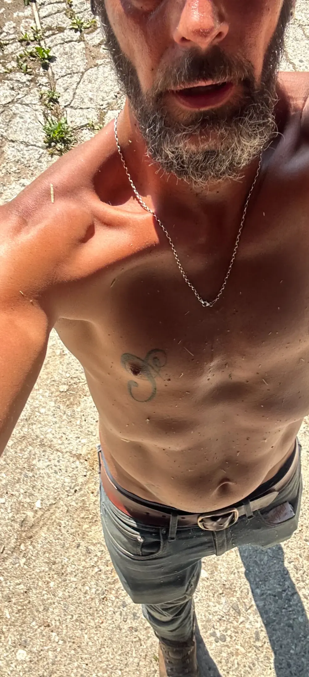 _madbull_
