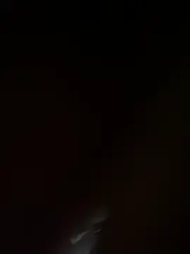 Stripchat Best live sex cam show of Horse-XYZ