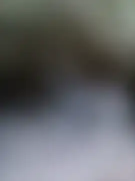 Stripchat Watch Live Sex Cams of Crossdres