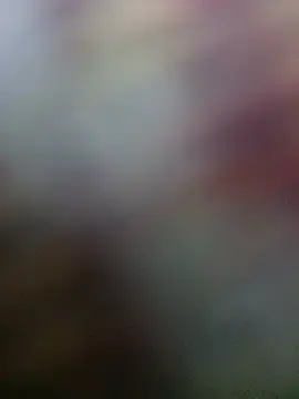 Stripchat Best Webcam of chicopistolarosa