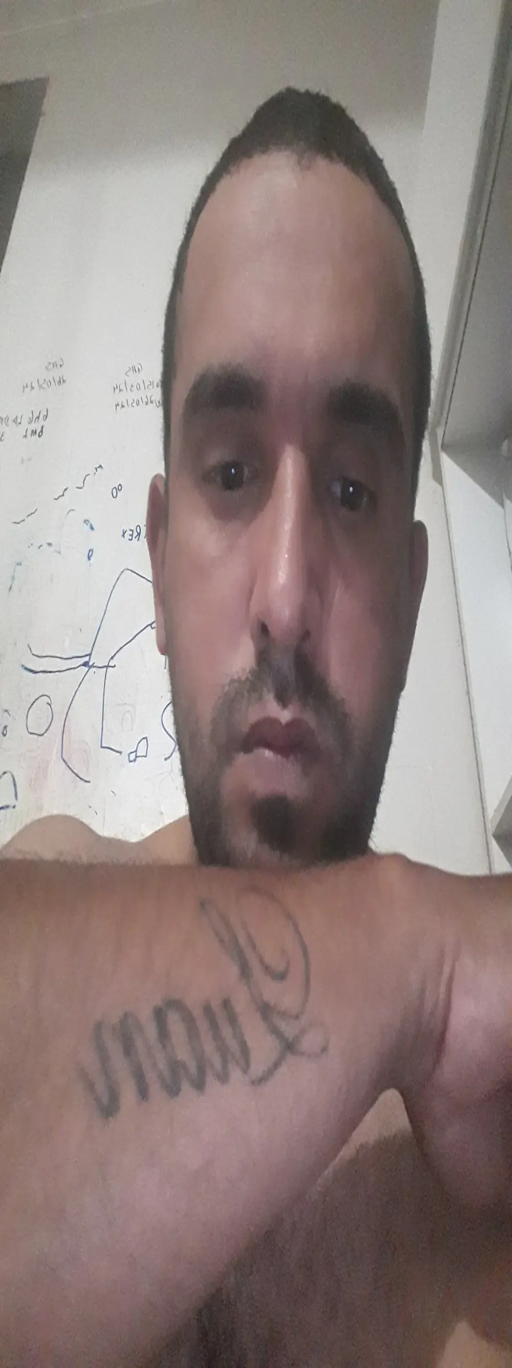 Cavalofudebucetinhas