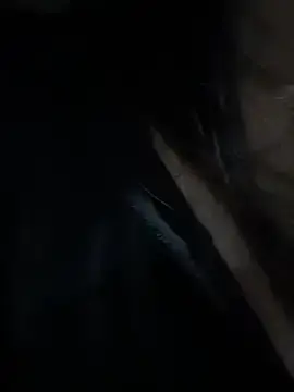 Stripchat Free Porn Cam of UL11