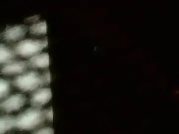 Stripchat Free Live Porn of Gigadickman