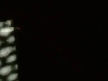 Stripchat Private Sex Chat of Gigadickman