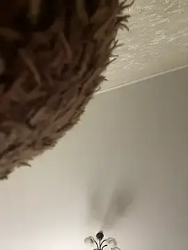 Stripchat Live Porn of Poly_Nick