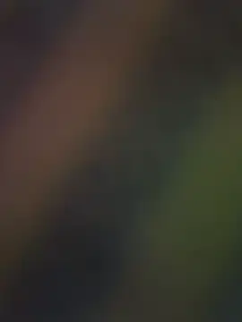 Stripchat Best live sex cam show of RinaMood