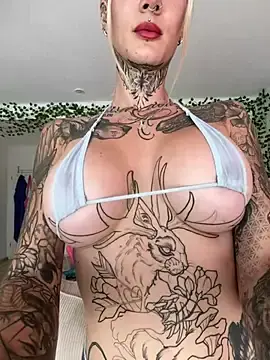 Stripchat Adult Video Chat of Stella-Kink
