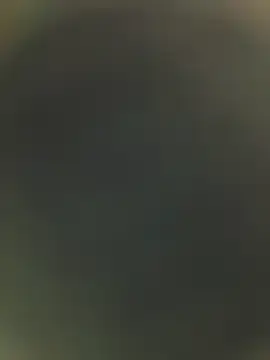 Stripchat Adult Webcam of piggylatino