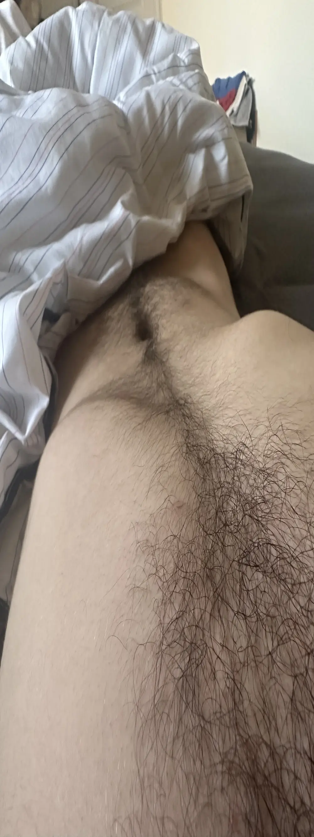 vannerr