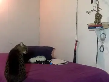 Stripchat Live Sex Cam of indomitaFox