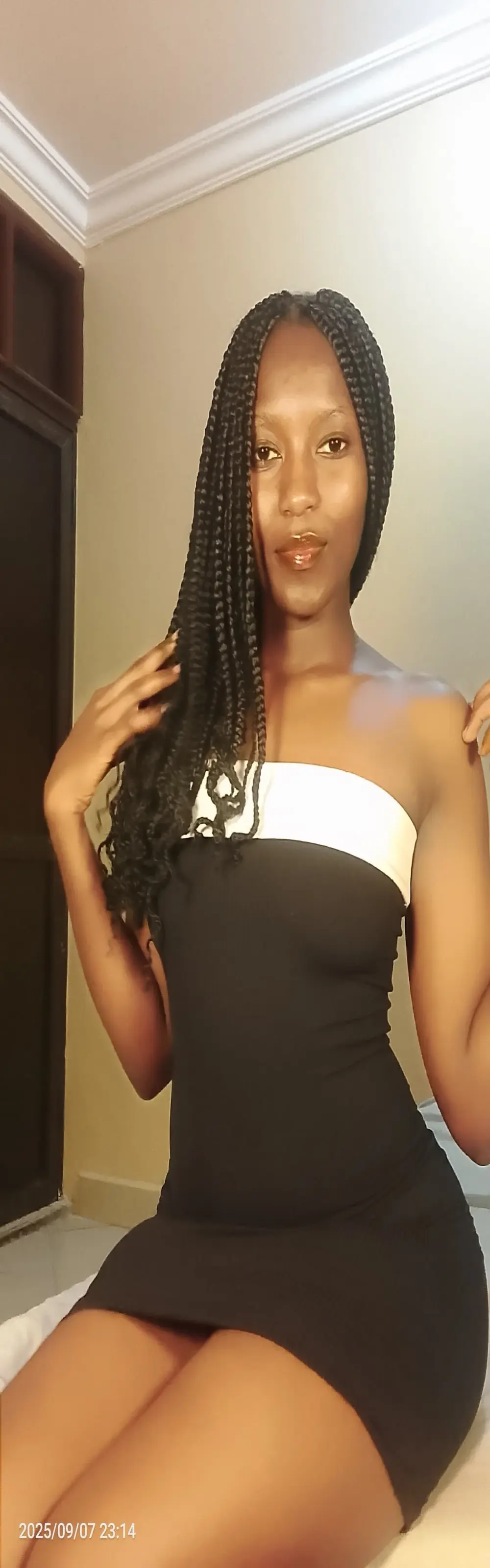wildcatie