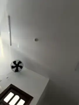 Stripchat Best Webcam of 9Dragon9