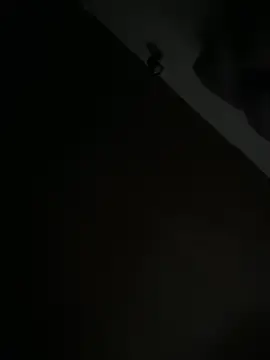 Stripchat Live Sex Cam of Im_Emily_