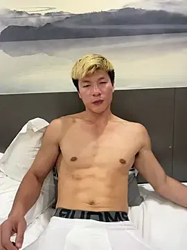 Stripchat Free Porn Cam of AAASuck