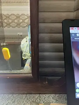 Stripchat Best Webcam of Muslimali