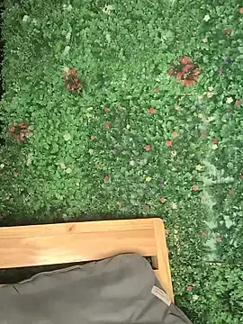 Stripchat Watch Live Sex Cams of butterfly777_