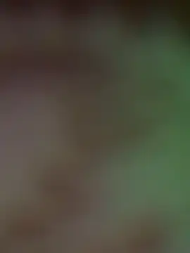 Stripchat Best Webcam of SonnySoless2