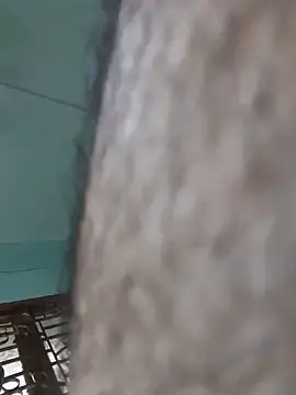 Stripchat Watch Live Sex Cams of Hairy_hunk32