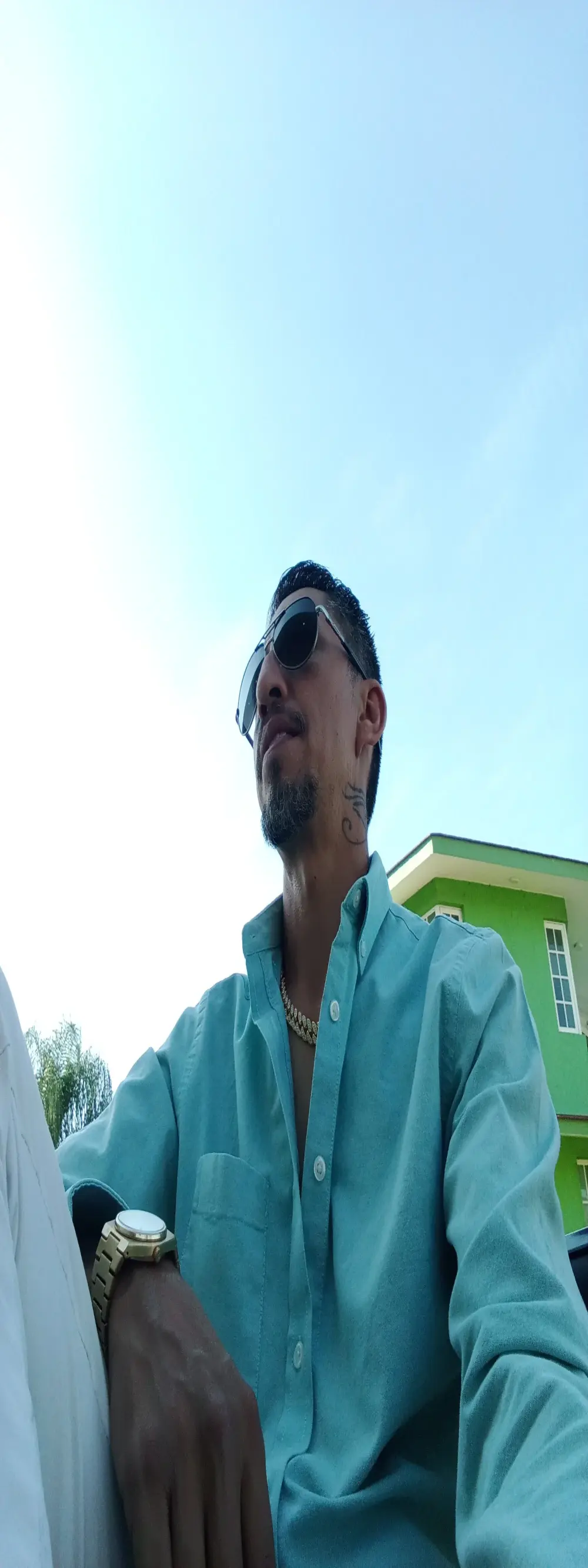 velvetblackcock