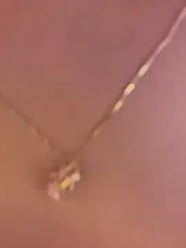 Stripchat Live Porn of AlessiaVallmont