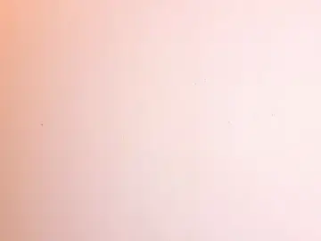 Stripchat Live Porn of melody-rouss