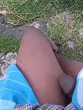 Stripchat Free Porn Cam of dolphiinn
