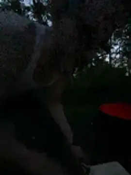 Stripchat Private Sex Chat of teninchty