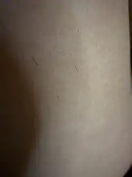 Stripchat Sex Cam of Wet-Pussycat