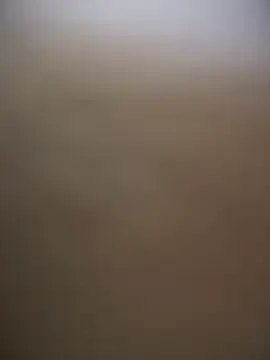 Stripchat Best Webcam of sammyqueenx21