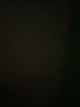 Stripchat Live Porn of follladorr